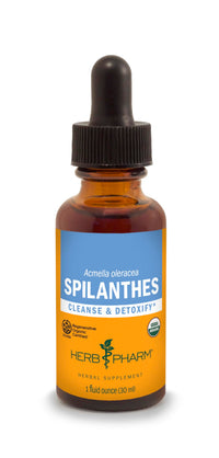Thumbnail for Herb Pharm Certified Organic Spilanthes Liquid Extract for Cleansing and Detoxification - 1 Ounce