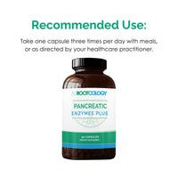 Thumbnail for Rootcology by Dr. Izabella Wentz | Pancreatic Enzymes Plus | Enteric Coated Lipase, Protease & Amylase Blend with Bromelain | 90 Capsules