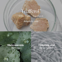 Thumbnail for d'alba Piedmont Italian White Truffle Waterfull Mild Sunscreen, Vegan, Mineral Sunscreen, SPF 50+ PA++++, Non-Nano Sunscreen Suitable for all Sensitive Skin, Gentle & Light Finish, Korean Skincare