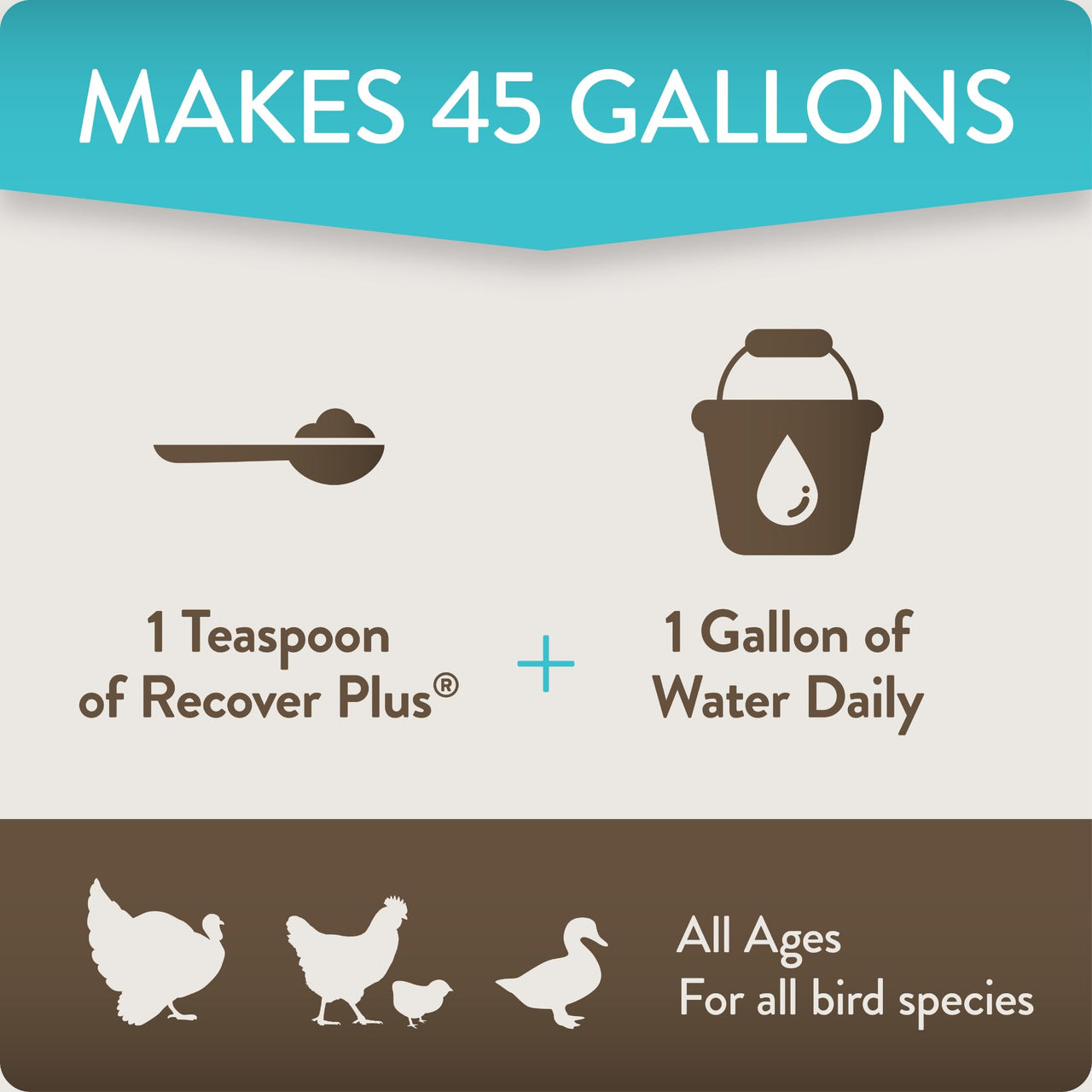 FlockLeader Recover Plus Moderate Stress Probiotic Water Supplement for Chickens with Electrolytes & Oregano, 8 oz