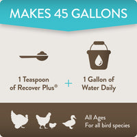 Thumbnail for FlockLeader Recover Plus Moderate Stress Probiotic Water Supplement for Chickens with Electrolytes & Oregano, 8 oz