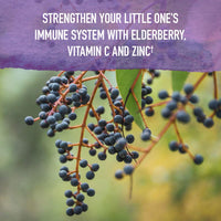 Thumbnail for Garden of Life Organics Elderberry Immune Support for Kids with Zinc, Vitamin C - Kids Elderberry & Sleep Immune Syrup Liquid, Bedtime Herbs for Children, No Alcohol, No Added Sugar, 3.92 fl oz