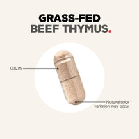 Thumbnail for Codeage Grass Fed Beef Thymus Supplement Superfood, Freeze Dried, Non-Defatted, Desiccated Thymus & Liver Pills, Glandulars Meat, Pasture Raised Beef Vitamins, Non-GMO, 180 Capsules