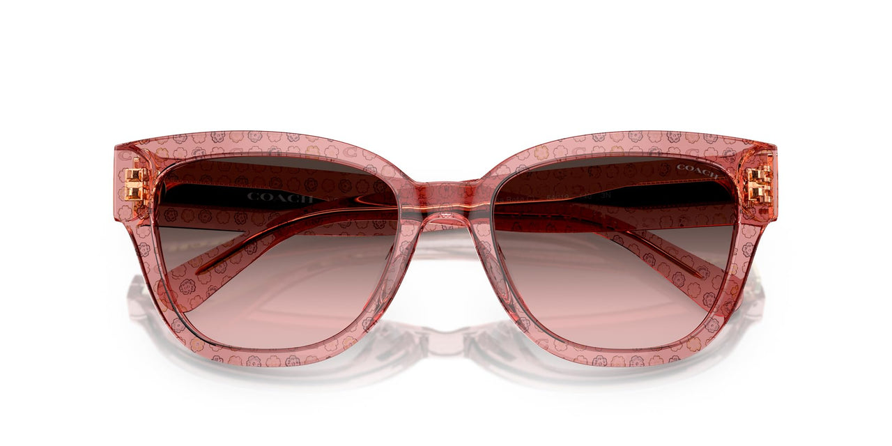 COACH HC8379U Universal Fit Sunglasses, Tea Rose C/Grey Pink Gradient, 54 mm