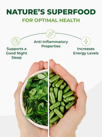 Thumbnail for PURA VIDA MORINGA Organic Moringa Capsules, Pure Moringa Leaf Powder Single Origin for Energy, Metabolism & Immune Support, 120ct, 500mg Caps