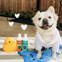 Thumbnail for earthbath, Oatmeal & Aloe Conditioner - Dog Conditioner for Allergies & Itching, Dry Skin, Dog Wash That Helps Detangle & Relieve Itching, Made in USA, Cruelty Free Pet Conditioners - 16 Oz (1 Pack)