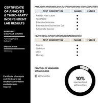 Thumbnail for Toniiq Ashwagandha - Ultra High Potency 20:1 Extract with 10% Withanolides - Wild Harvested in India - Highly Concentrated - Third-Party Lab Tested - 90 Capsules