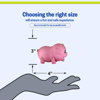 Thumbnail for PetSport Naturflex Tiny Tots Pig Toy - Durable & Long-Lasting, Non-Toxic Material, Internal Squeaker, Rubber Toy for Dogs, Ideal for Interactive Play and Engagement