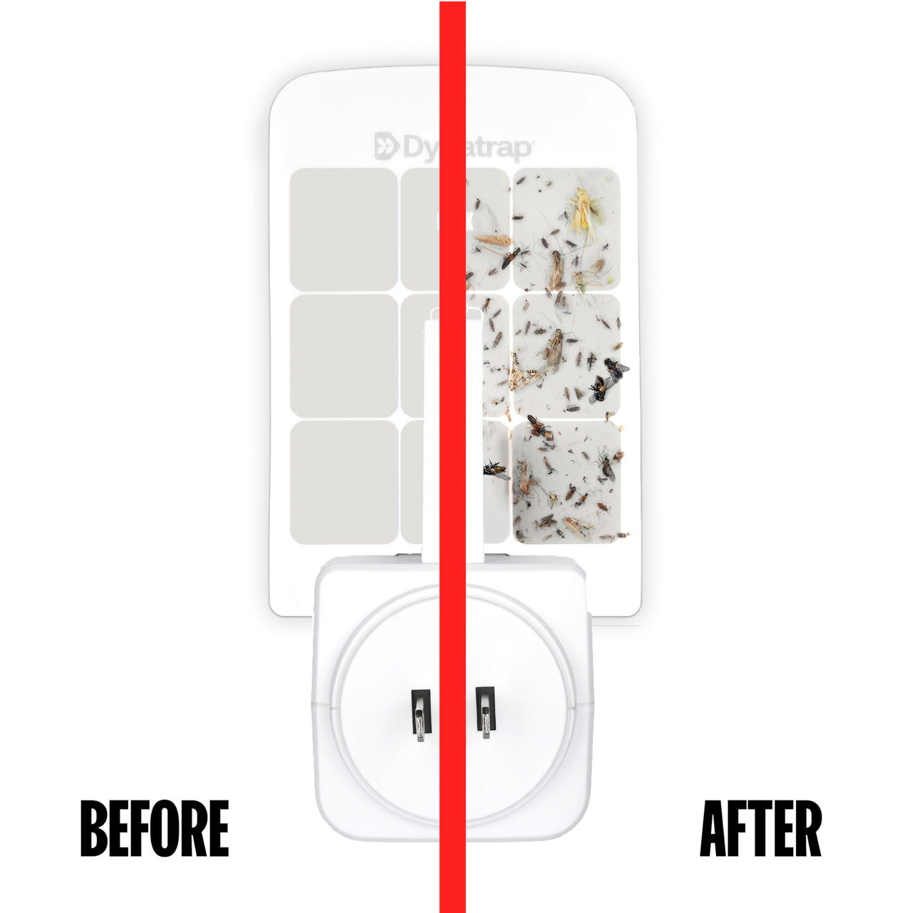 Dynatrap Glue Card Refills for Indoor Dynatrap Fly Trap Models DT3007 and DT3007W - 6 Glue Cards - 23007 - Discreet Indoor Insect Control - Includes 6 Official Refills