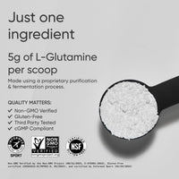Thumbnail for Sports Research L-Glutamine - Workout Recovery, Immune Health & Gut Health Support - 5 G Per Serving - 17.64 Oz