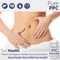 Thumbnail for Nutrasal PhosChol, 900mg – 100 Gel Capsules