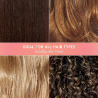 Thumbnail for DAE Hair Wanderluster Travel Duo