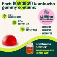 Thumbnail for BoochBod - Probiotic Kombucha Gummy - Prebiotics, Probiotics, Postbiotics, Fiber Supplement, Slippery Elm, Dandelion Root, MCT Oil, for Bloating, Gut Health - Probiotics for Women and Men