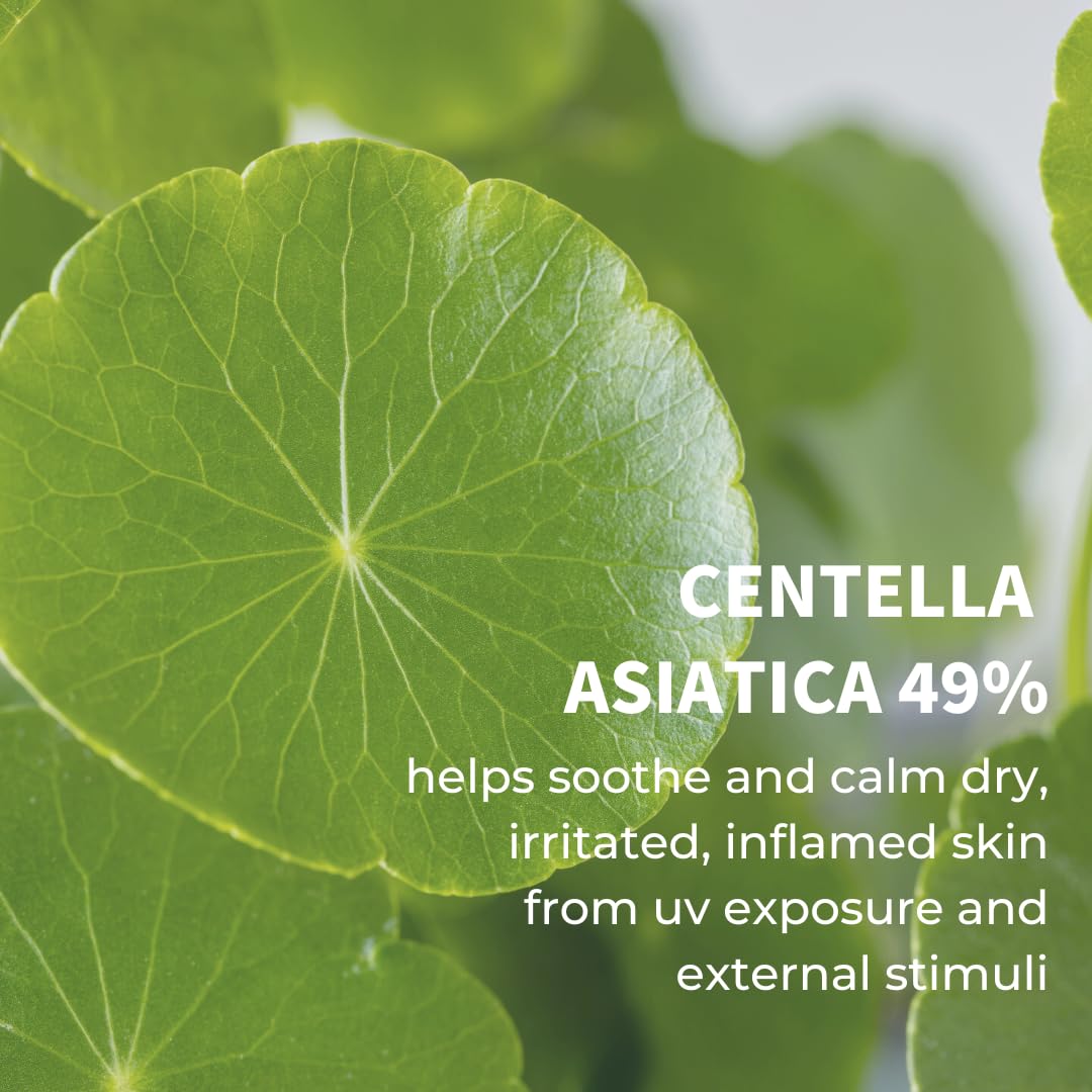 IUNIK Centella Calming Moisture Daily Sunscreen SPF 50+ PA++++ Matte & No White Cast Centella Asiatica Dry Oily Sensitive Vegan Korean Skincare - Pack of 2