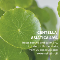 Thumbnail for IUNIK Centella Calming Moisture Daily Sunscreen SPF 50+ PA++++ Matte & No White Cast Centella Asiatica Dry Oily Sensitive Vegan Korean Skincare - Pack of 2