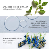 Thumbnail for TATCHA Indigo Overnight Repair | Face Cream & Serum Treatment, Fragrance Free Night Cream, 50 ml | 1.7 oz