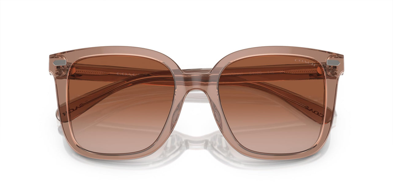 Coach HC8381U Universal Fit Sunglasses, Transparent Brown/Grey/Brown Gradient, 54 mm