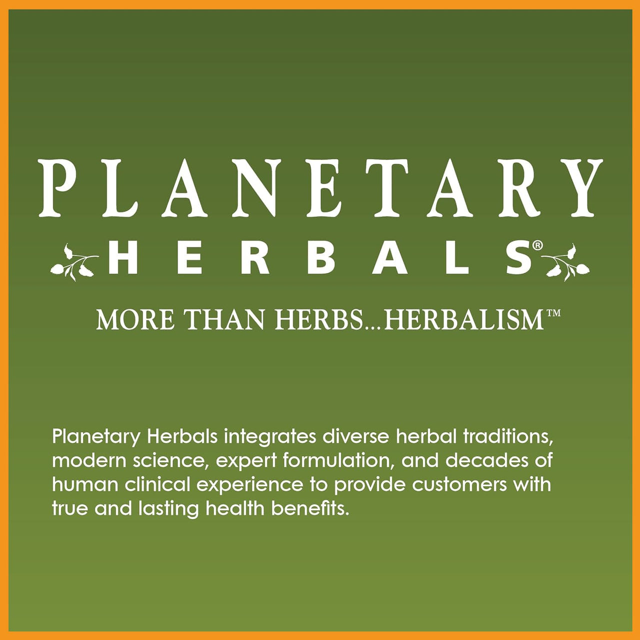 Planetary Herbals Full Spectrum Echinacea Liquid Extract Supplement - 2 Fluid Ounces