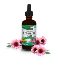 Thumbnail for ature's Answer Echinacea Extract | Supports a Healthy Immune System | Vegan, Gluten-Free, Alcohol-Free, Non-GMO & Kosher Certified | 1oz