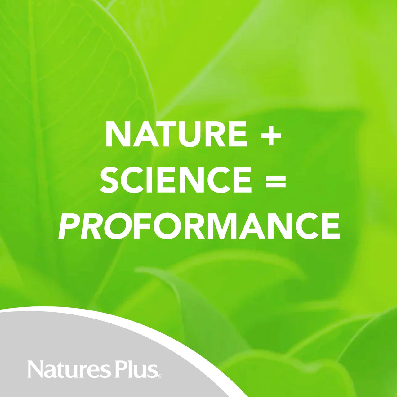 NaturesPlus PRO NAC 1200 mg - 60 Tablets - Crucial for Replenishing Glutathione - Non-GMO, Vegan & Gluten Free - 30 Servings