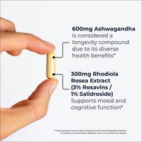 Thumbnail for Blueprint Bryan Johnson Ashwagandha & Rhodiola Longevity Adaptogen Supplement - 600mg Ashwagandha, 300mg Rhodiola Rosea Extract (3% Rosavins/1% Salidroside) - Supports Calm, Energy&Cognition – Non-GMO