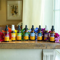 Thumbnail for Herb Pharm Good Mood Liquid Herbal Formula with St. John's Wort for Healthy Emotional Balance - 1 Ounce