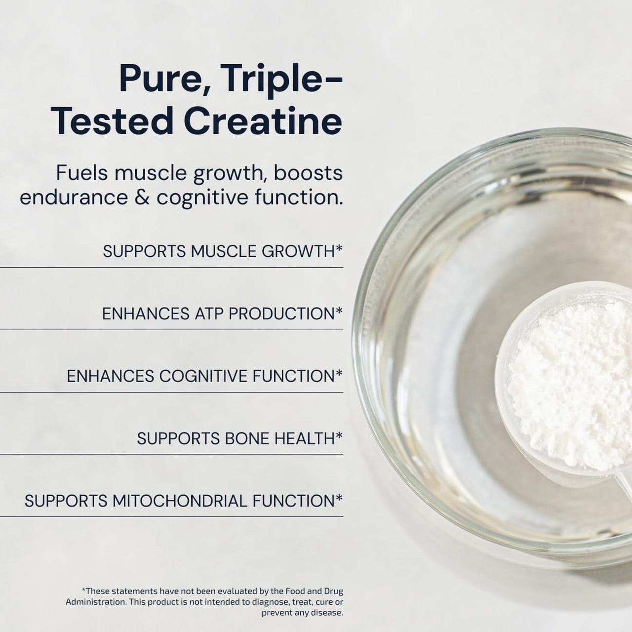 Blueprint Bryan Johnson Creatine Monohydrate Powder - Creatine Supplement for Muscle Builder & Recovery - Promotes Strength, Cognitive & Endurance Support (100 Servings)