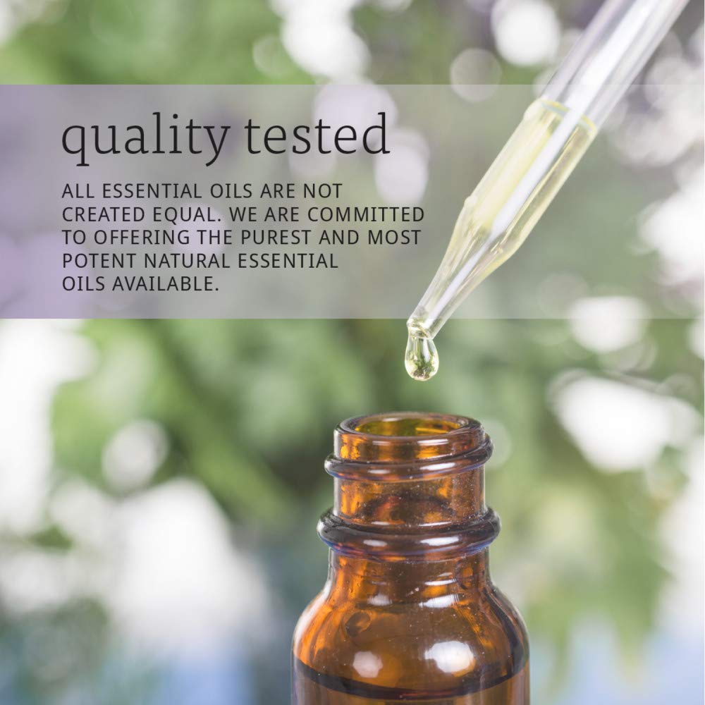 NOW Eucalyptus Essential Oil, 2 Fl Oz (1 Count)