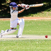 Thumbnail for Cricket Balls for Training, Coaching, Practice & Excellent Bounce Skills Soft Foam Rubber Cricket Ball with Durable Traditional Seams Stitched for All Age Players (Red)