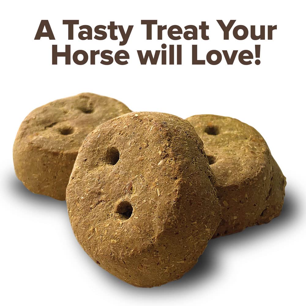 Banana Rounders Horse Treat 30 oz (850 g)