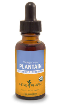 Thumbnail for Herb Pharm Certified Organic Plantain Liquid Extract for Cleansing and Detoxification - 1 Ounce (DPLAN01)