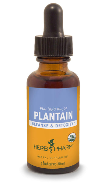 Herb Pharm Certified Organic Plantain Liquid Extract for Cleansing and Detoxification - 1 Ounce (DPLAN01)