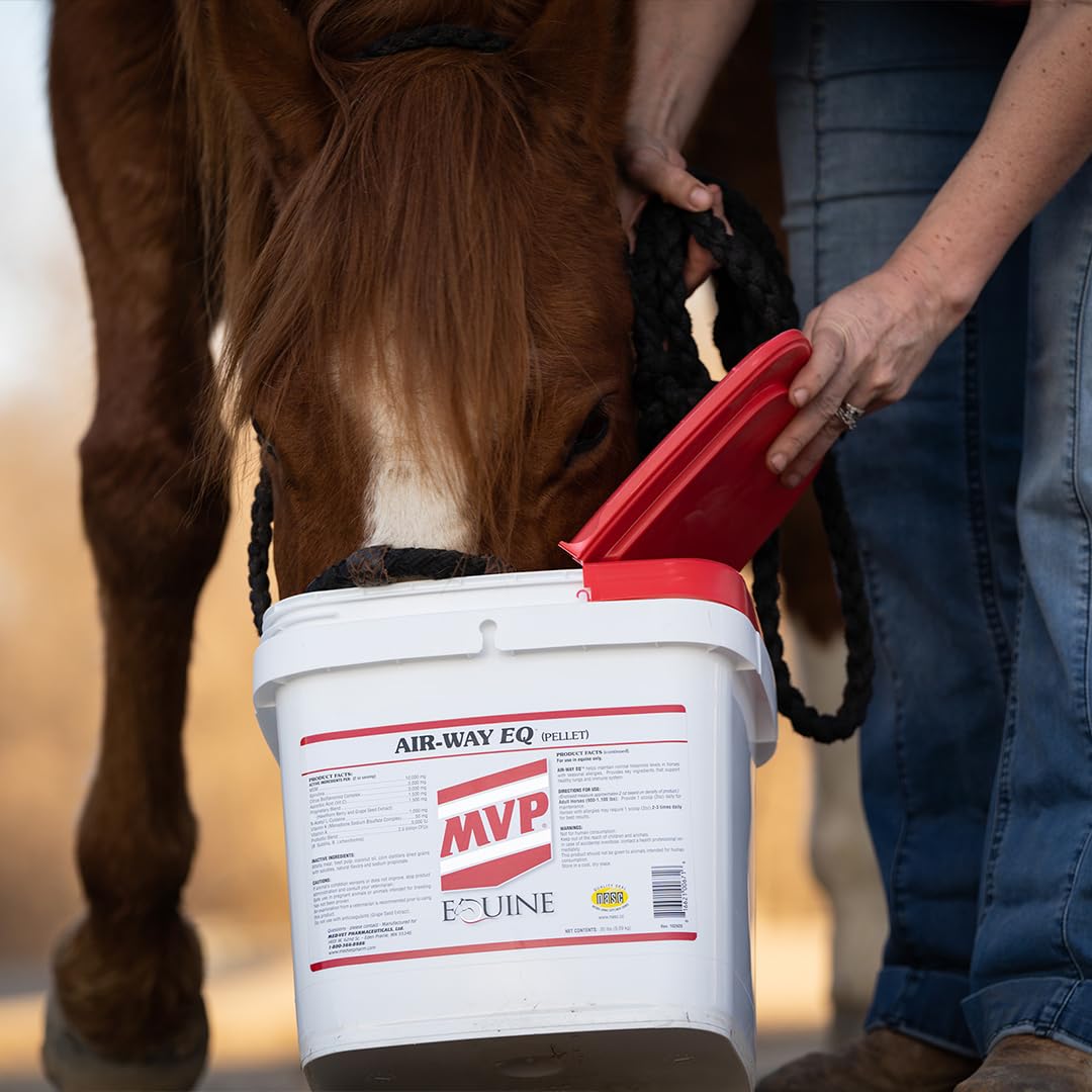 MVP Air-Way EQ Supports Healthy Lung Function and Seasonal Allergy Support in Horses, 5lb - 40 Servings