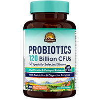 Thumbnail for VITALITOWN Probiotics 120 Billion CFUs | 36 Strains, with Prebiotics & Digestive Enzymes for Men Women | Shelf Stable | Digestive Health & Immune Support | Vegan, Non-GMO | 30 Delayed Release Veg Caps