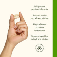 Thumbnail for Swanson Full Spectrum Ashwagandha - Natural Stress, Energy, Sleep & Immune Support* - Traditional Ayurvedic Supplement - Gluten-Free & Non-GMO - 100 Vegan Capsules