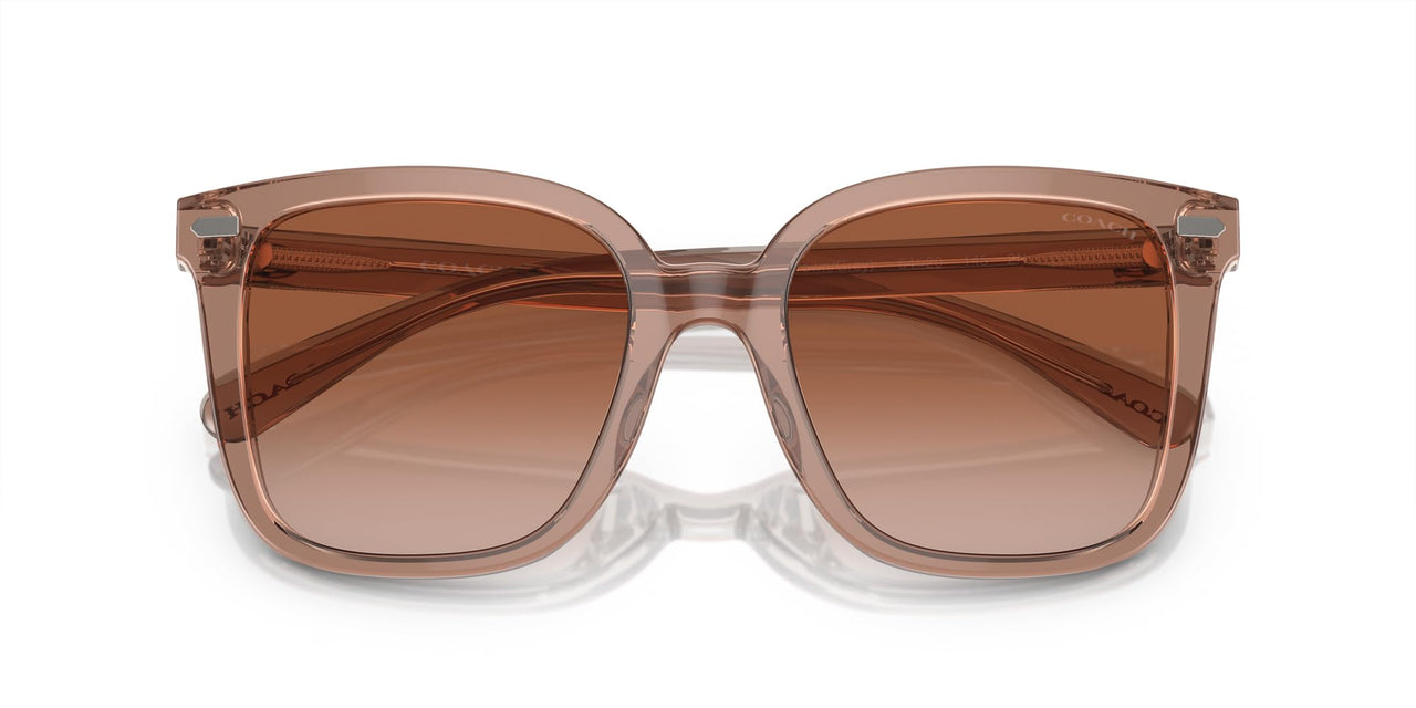 Coach HC8381F Low Bridge Fit Sunglasses, Transparent Brown/Grey/Brown Gradient, 56 mm
