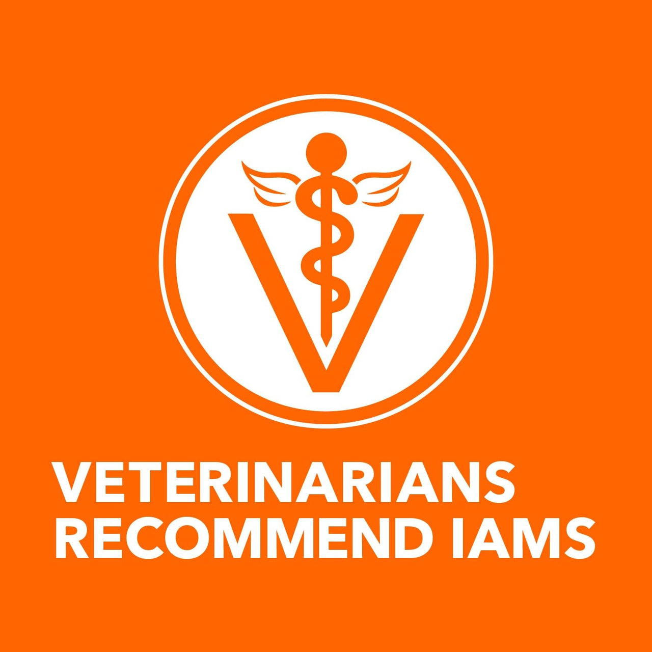 IAMS Perfect Portions Sensitive Digestion & Skin Wet Cat Food Pate, Healthy Adult Grain Free Pate, Chicken Recipe, 2.6 oz. (24 Twin Packs)