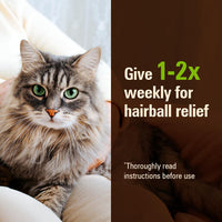 Thumbnail for SENTRY PET CARE Sentry Hairball Relief for Cats,Malt Flavor,4.4 Ounces