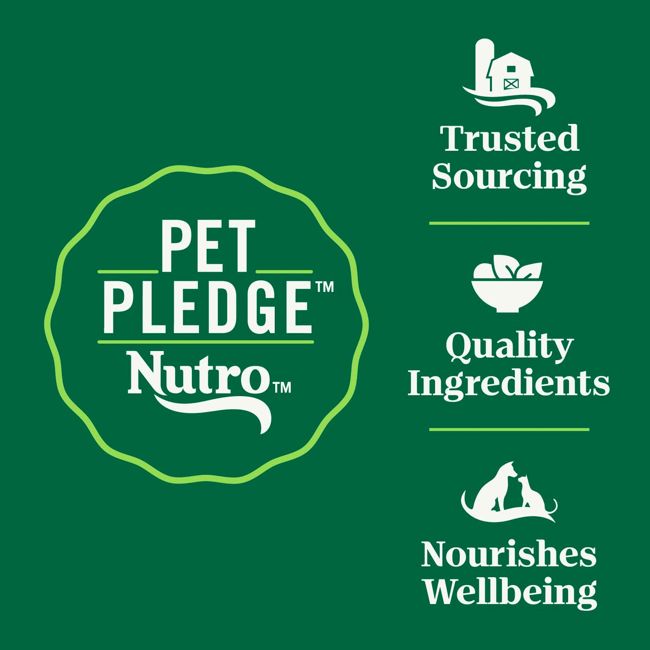 Nutro Wholesome Essentials Senior Dry Cat Food, Senior Cat Food Dry Chicken & Brown Rice Recipe, 5 lb. Bag