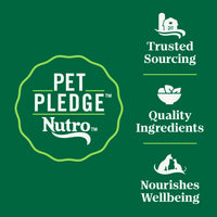 Thumbnail for Nutro Wholesome Essentials Senior Dry Cat Food, Senior Cat Food Dry Chicken & Brown Rice Recipe, 5 lb. Bag