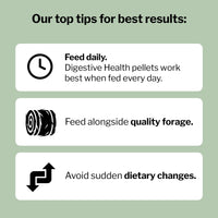 Thumbnail for Formula 707 Digestive Health Equine Supplement, 4lb Bag – Probiotics, Prebiotics and Digestive Enzymes for Horses