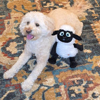 Thumbnail for SPOT Baa Baa Black Sheep Plush Dog Toy - Cute and Cuddly Fleece Toy with Squeaker for Medium to Large Dogs and Puppies, 13in Black and White Lamb