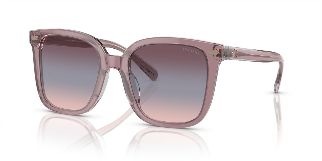 Coach HC8381F Low Bridge Fit Sunglasses, Transparent Rose/Blush/Purple Blue Peach Gradient, 56 mm