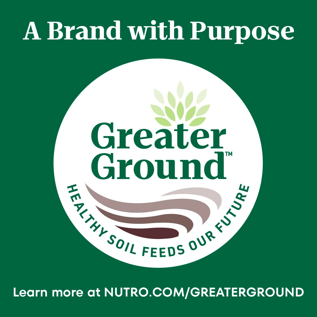 Nutro Wholesome Essentials Senior Dry Cat Food, Senior Cat Food Dry Chicken & Brown Rice Recipe, 5 lb. Bag
