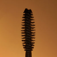 Thumbnail for LAURA GELLER At Long Lash Mascara for Volume and Length