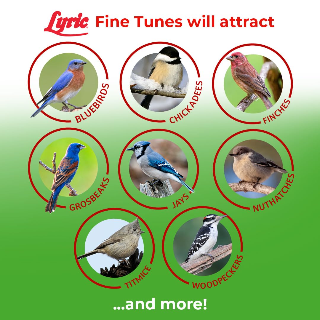Lyric Fine Tunes Wild Bird Seed Mix - No Waste Bird Food Mix - Attracts Bluebirds, Finches, Chickadees & More - Seed for Outside Feeders - 15 lb Bag
