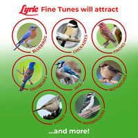 Thumbnail for Lyric Fine Tunes Wild Bird Seed Mix - No Waste Bird Food Mix - Attracts Bluebirds, Finches, Chickadees & More - Seed for Outside Feeders - 15 lb Bag