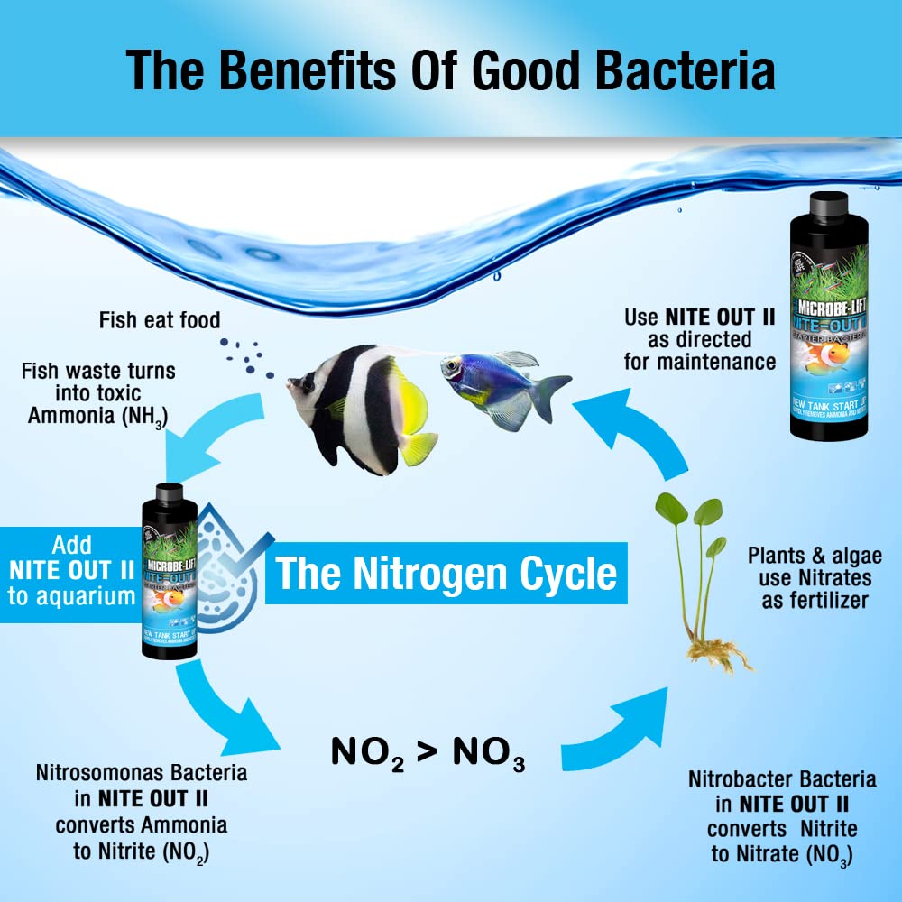 MICROBE-LIFT Nite-Out II Aquarium Bacteria for Start-up, Instantly Cycle Aquariums, Add Fish on Day 1, Rapid Ammonia and Nitrite Reducer for Freshwater & Saltwater Fish Tank, 4 Ounces (NITEH04)