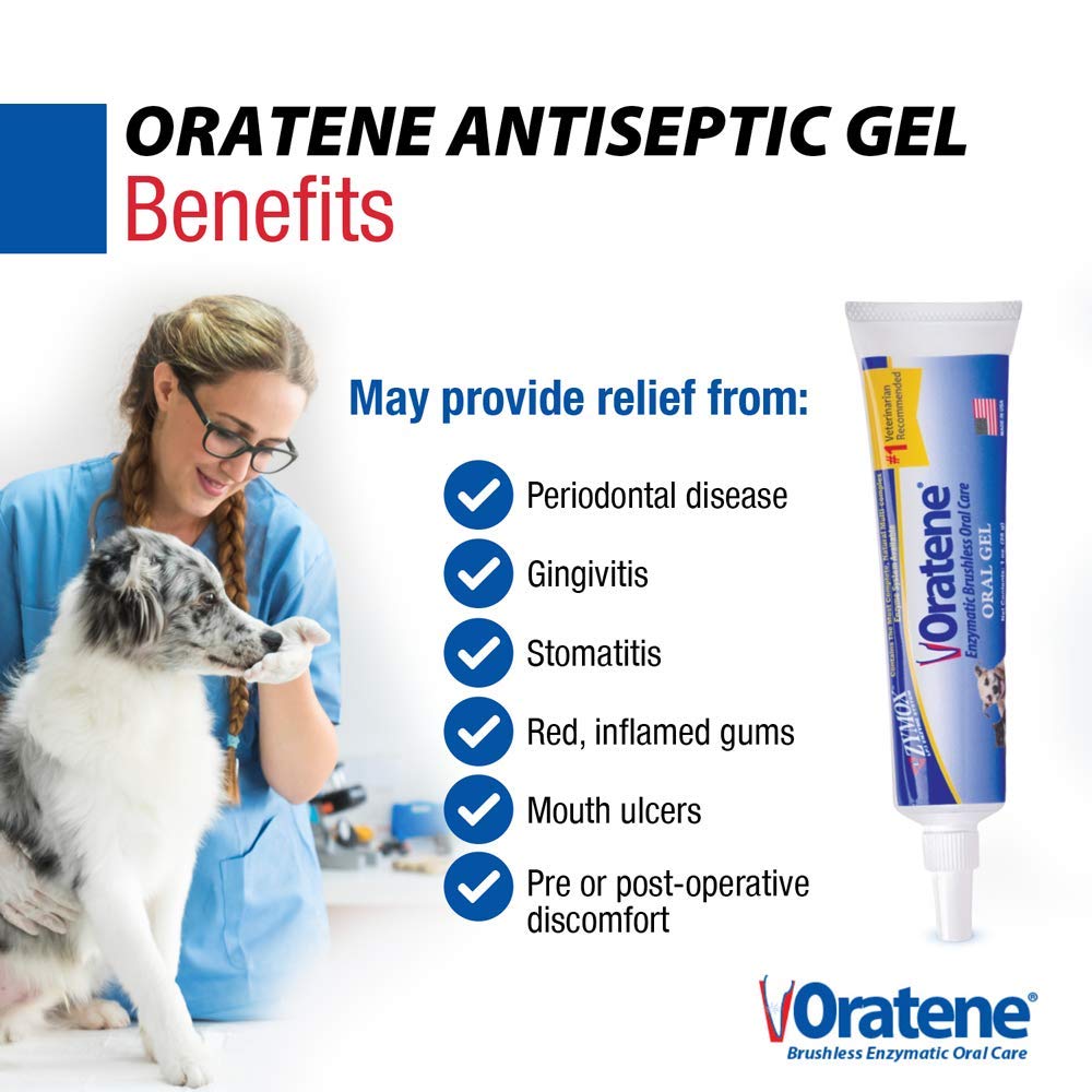 Pet King Brands ZYMOX Oratene Brushless Oral Gel for Dogs and Cats, 1oz