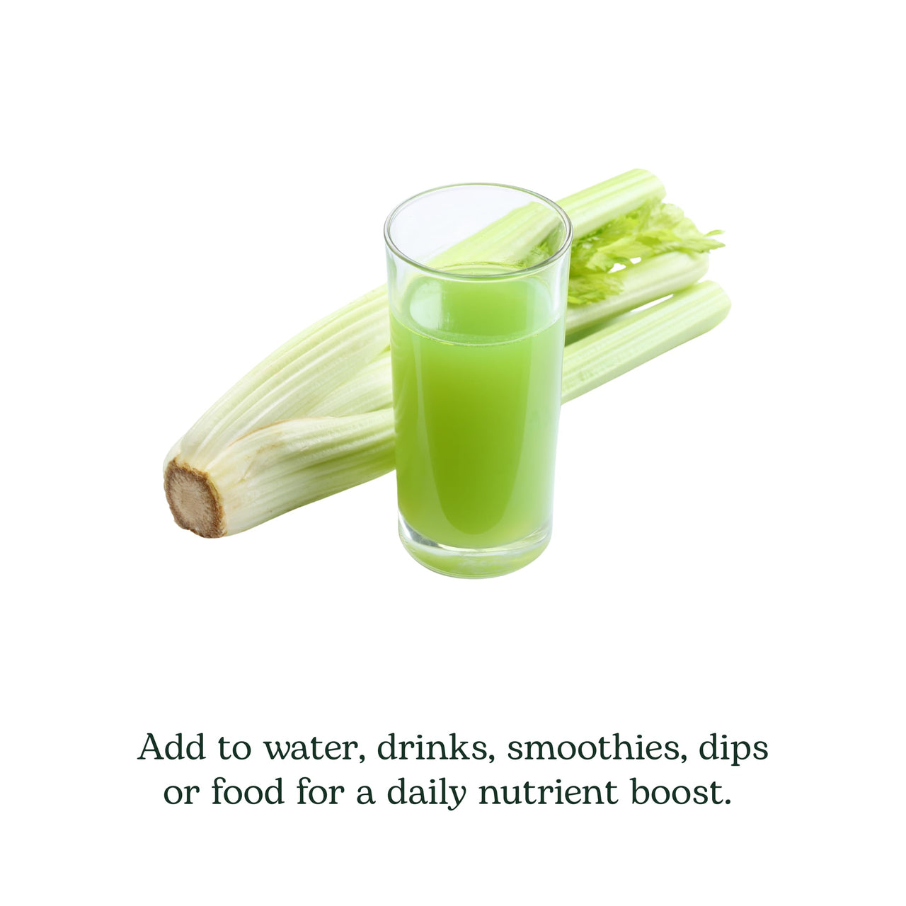 Eclectic Herb - Celery Juice Powder | Nutritional Supplement | Hydration + Wellness Support, Vitamins + Minerals | Freeze Dried, USDA Organic, Non-GMO, Vegan (3.2 oz | 90 g)